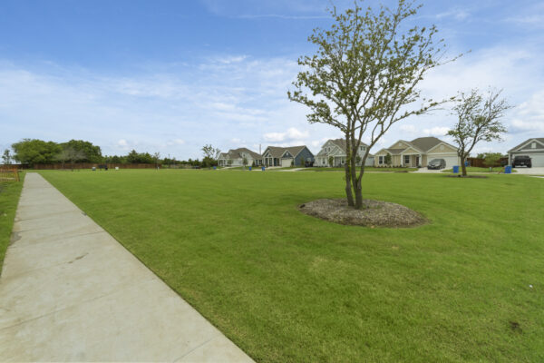 5 Things to Know When Moving to Argyle TX