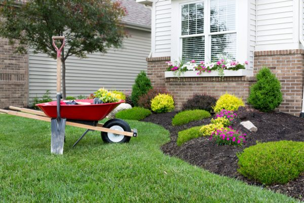 6 Ways to Maximize Your Garden This Year
