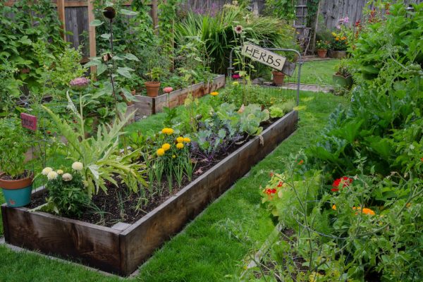 Beautify Your Home in Frisco with these Spring Gardening Tips