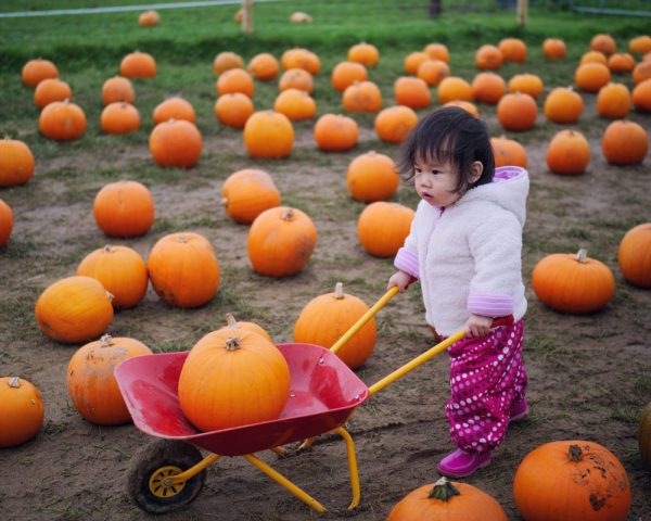 8 Great Ways to Celebrate Fall in Frisco