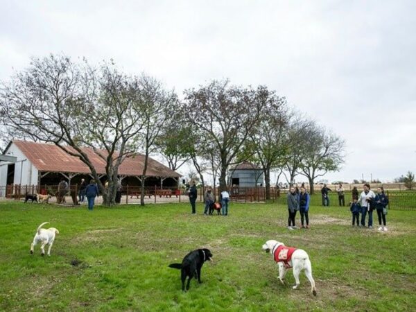 New Park Coming Beside Canyon Falls